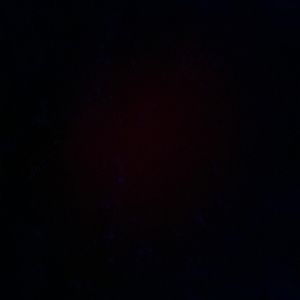 Meet your Posher, Nina